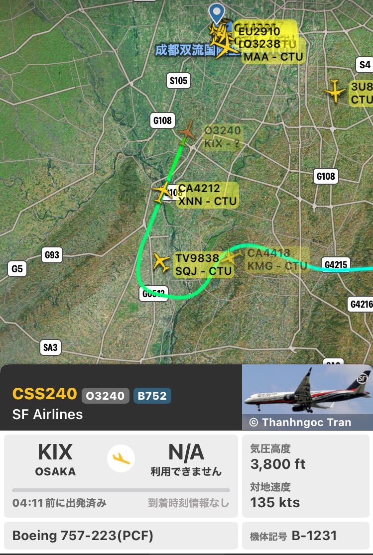 パンダ（感謝） パンダコパンダ シェル型扇子 ラインダンス | どんぐり共和国