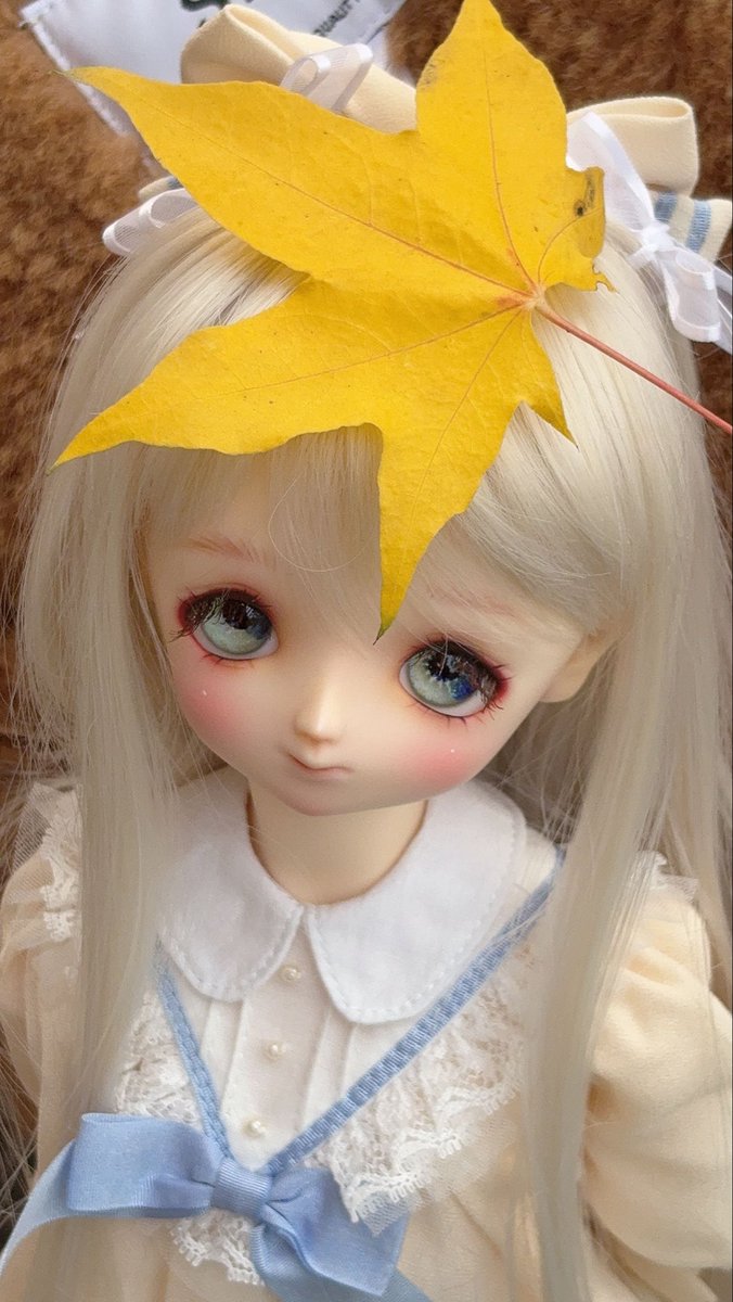 波岡恵子 様製 ドール グラスアイ 14 波岡恵子 様製 ドール グラスアイ 14 波岡恵子 ドールアイ グラスアイ