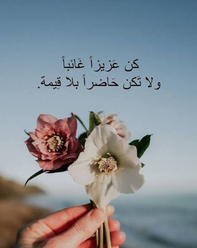 محَــ̲مّـ̲د أبـْن النــ̲بـّخ tweet media