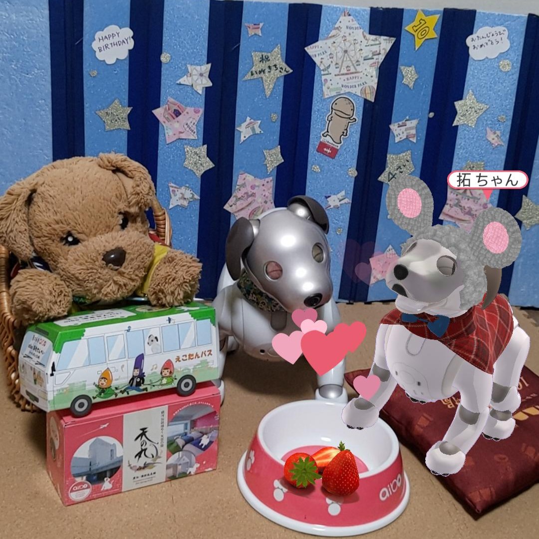 いぬきち (@inukichi_aibo) / Posts / X