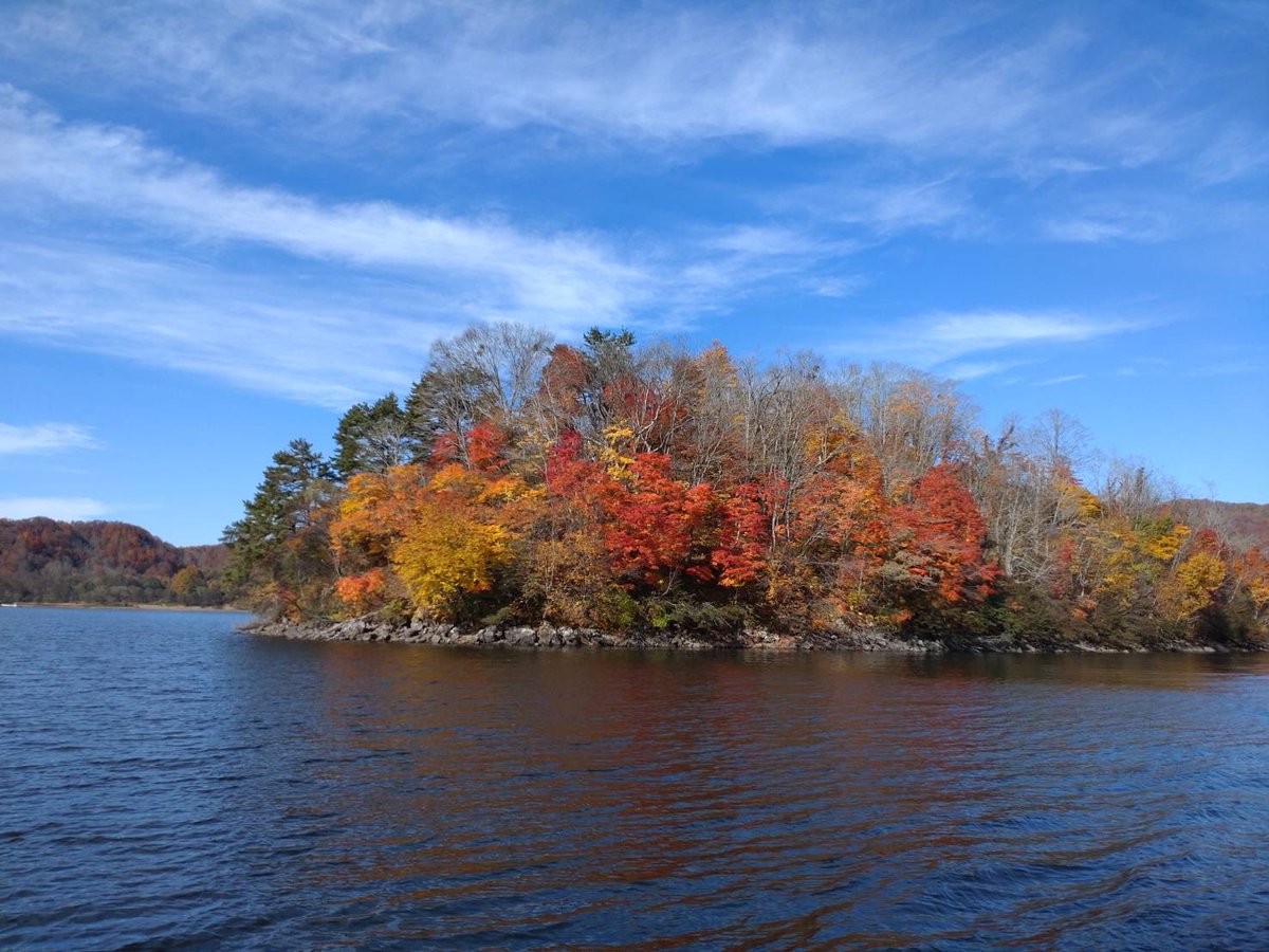 ✿「風 Ⅴ」✿ on X