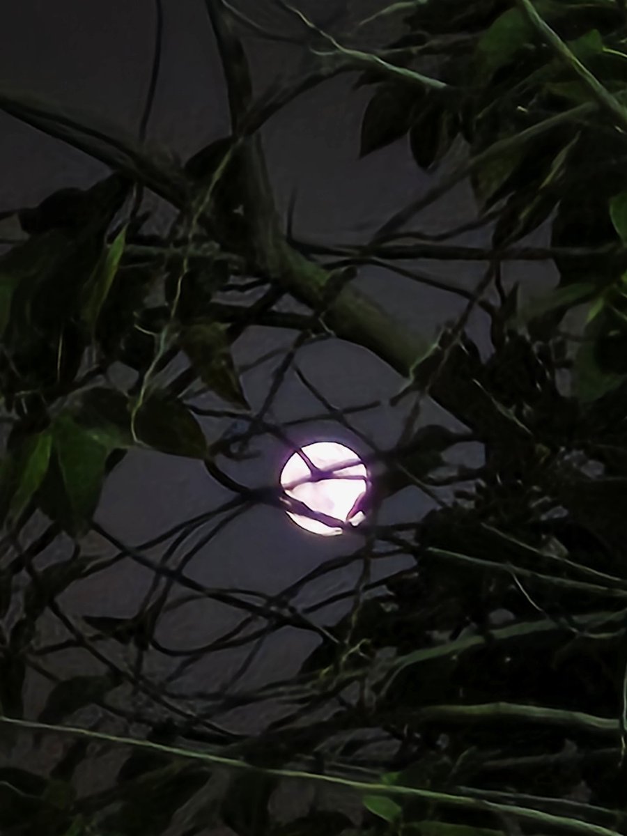 "يا حبّذا القمراءُ والليلُ الساجْ
وطُرقٌ مثلُ مُلاءِ النسّاجْ"