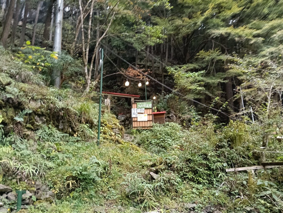 作場知生 Sakuba Tomomi (@sakuba) / Posts / X