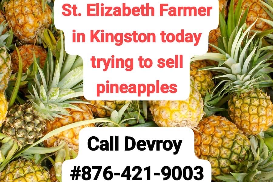 Fresh pine. Buy out the bar ppr