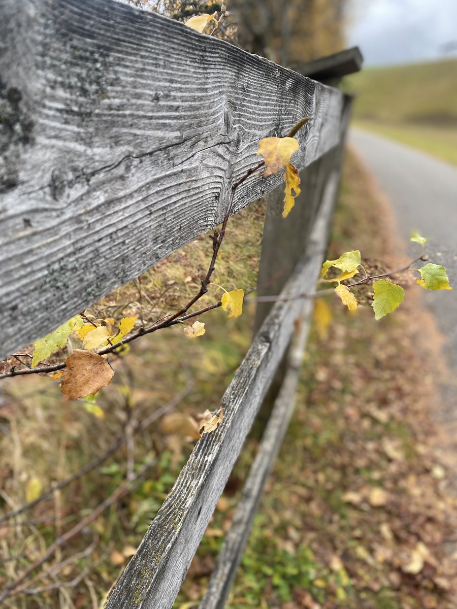 <a href="/DBking85/">Dario Barone</a> Bentornato, Dario!

🍁🌾🌺