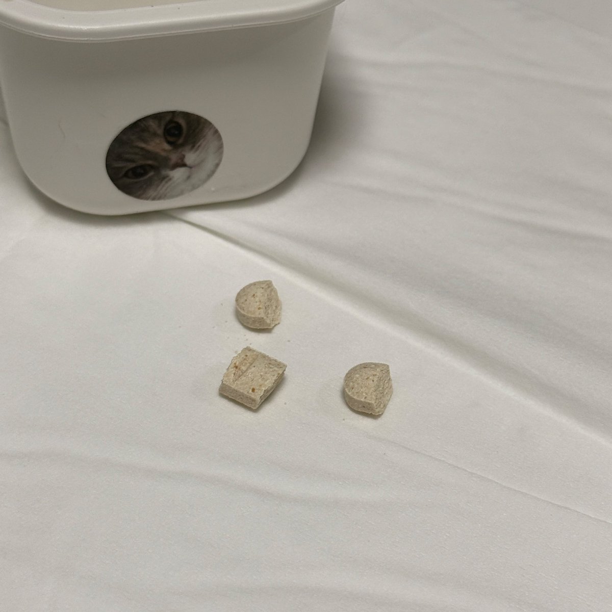 젠토닐 쪼개먹이기... 10번시도하면 4번은 실패. 오늘도 두번이나 버리고 게거품엔딩으로 불쌍해서 결국 못먹임ㅠㅠㅠㅠ 캡슐약은 매끄럽고 둥그니까 잘 먹이는편이였는데. 쪼갠알약은 각져있어서 그런가 목깊이넣어도 뱉어낸다 방법을 찾아야해ㅠㅠ