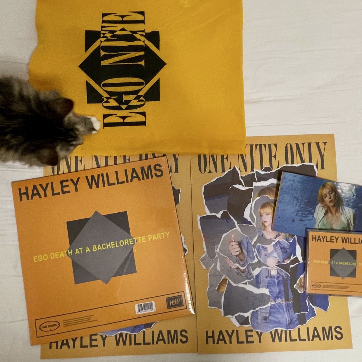 hoy <a href="/lastriot/">kry</a> y yo fuimos al listening party de EGO de Hayley Williams!! ⭐️🍯🎫 escuchamos showbiz por primera vez :) muy buena... y muy buen álbum 🎼🌼🌙 saludad a la señora culogordo (mi gata) 🐱💛 #hayleywilliams #egodeathatabacheloretteparty #edaabp #ego #listeningparty #aoty