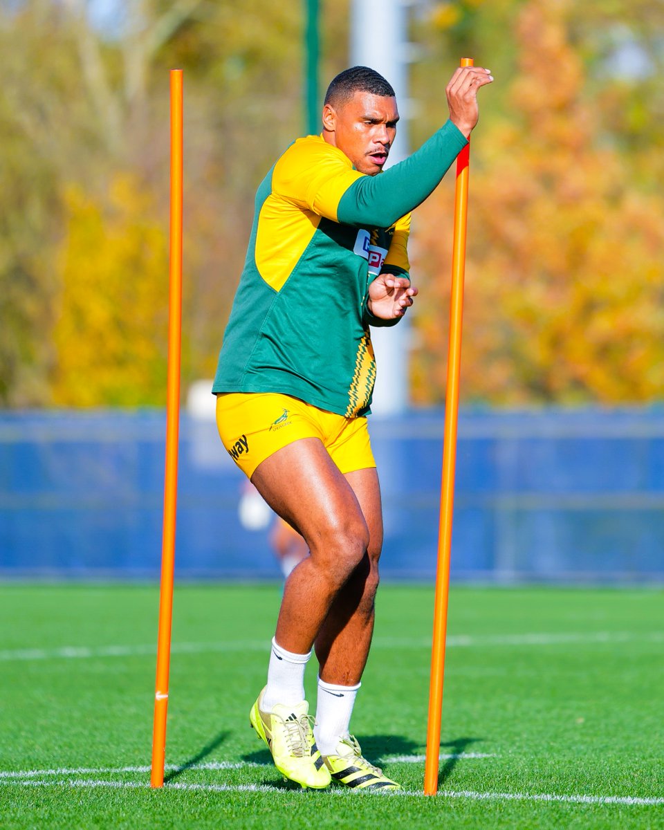 Springboks tweet media