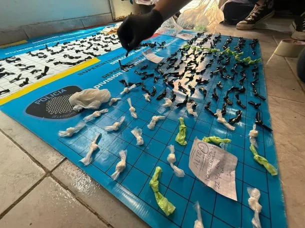 PolicialesON's tweet image. 🚨Cayó una familia narco en Ciudad Oculta: le secuestraron casi 500 envoltorios de pasta base

📌Se secuestraron casi 500 dosis de pasta base que eran comercializados en un kiosco de Villa Lugano que funcionaba como fachada. #narcos #droga