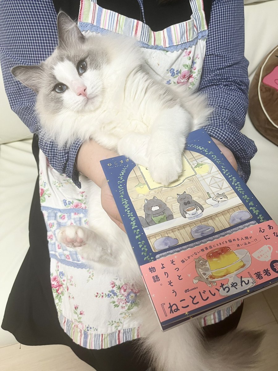 ねこまき倉庫 (@nyanta_mikan) / Posts / X