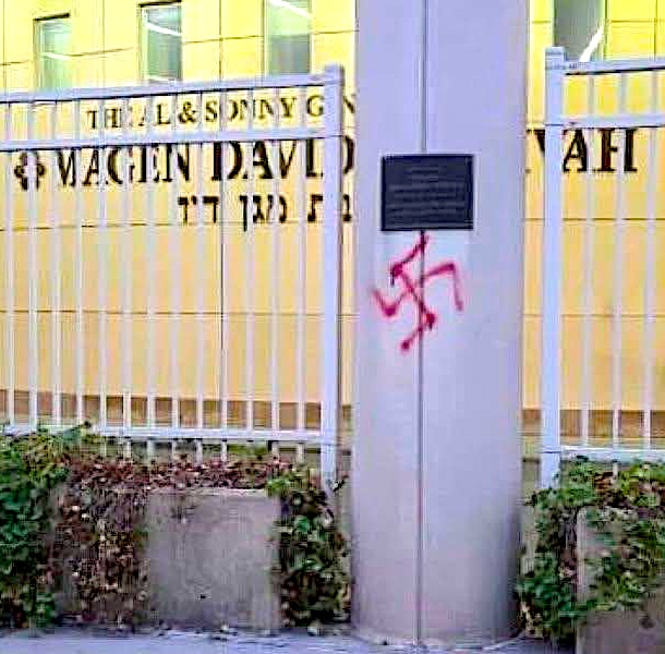 dahlia kurtz ✡︎ דליה קורץ tweet media