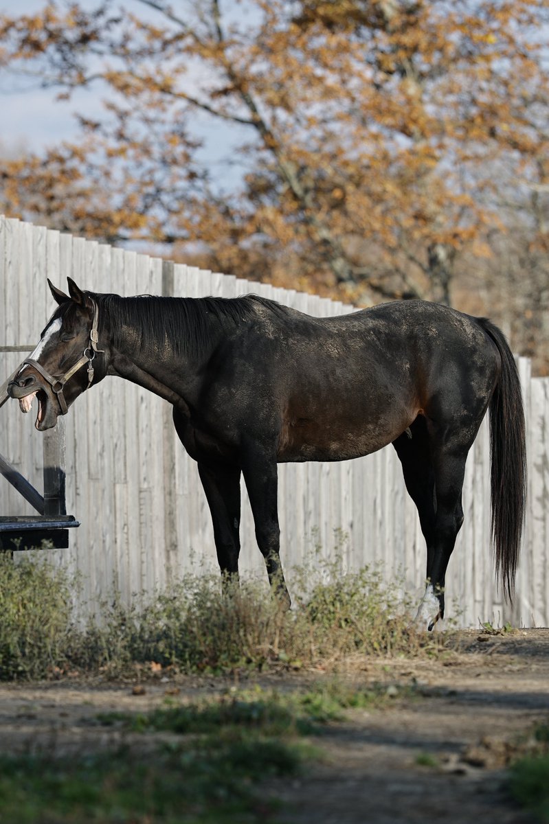 ΦphiΦ】 (@phi56326841) / Posts / X