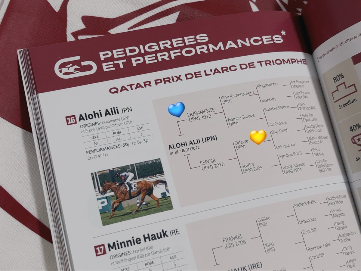 期限切れ単複馬券】 2歳未勝利 2014/11/8 ドゥラメンテ ウマ娘