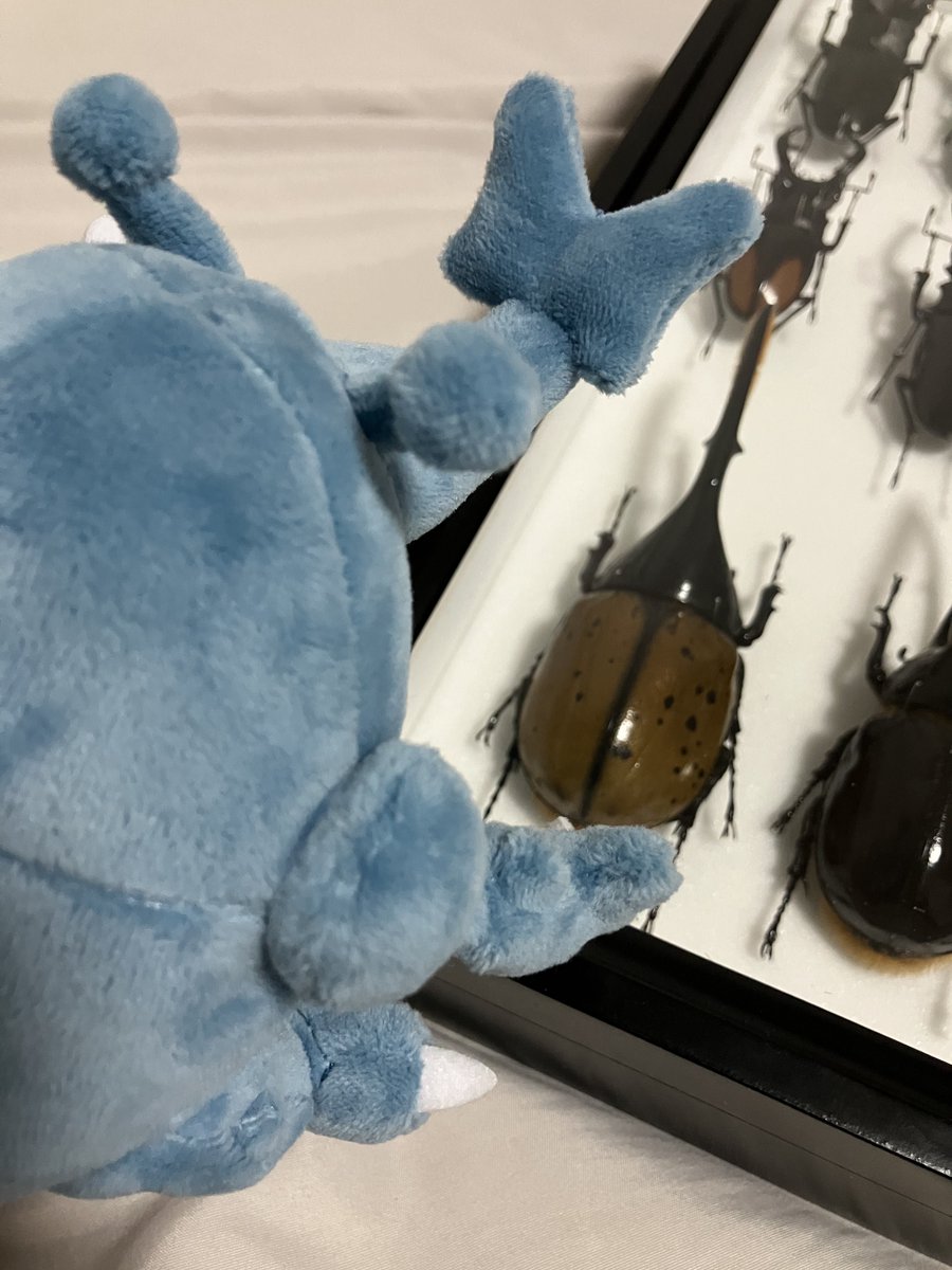 mmITF_84's tweet photo. ヘラクロス、ヘラクレスだよ

ヘラクレス、ヘラクロスだよ https://t.co/akpmRS0CMe