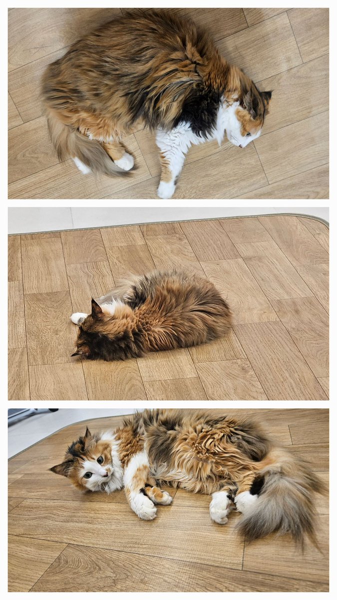 v2v1v22v1's tweet image. 왼쪽 지지고 오른쪽 지지고