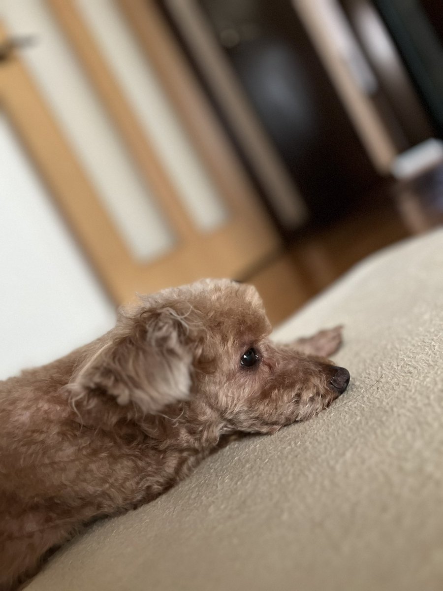 けーだい@志天隊 (@2nd_k140825) / Posts / X