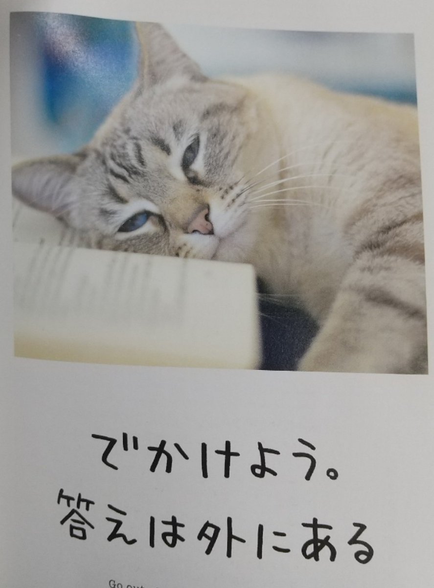 charisma3d's tweet photo. 本を読みたい
図書館へ行ってみる
猫の本
…ではなく
哲学？
でも私は心理学が好き
人間関係は面倒臭い
猫になりたい
"幸せは適量で" https://t.co/g7kckL900i