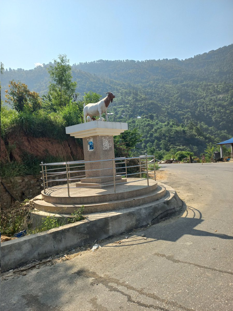 निरु थापा tweet media