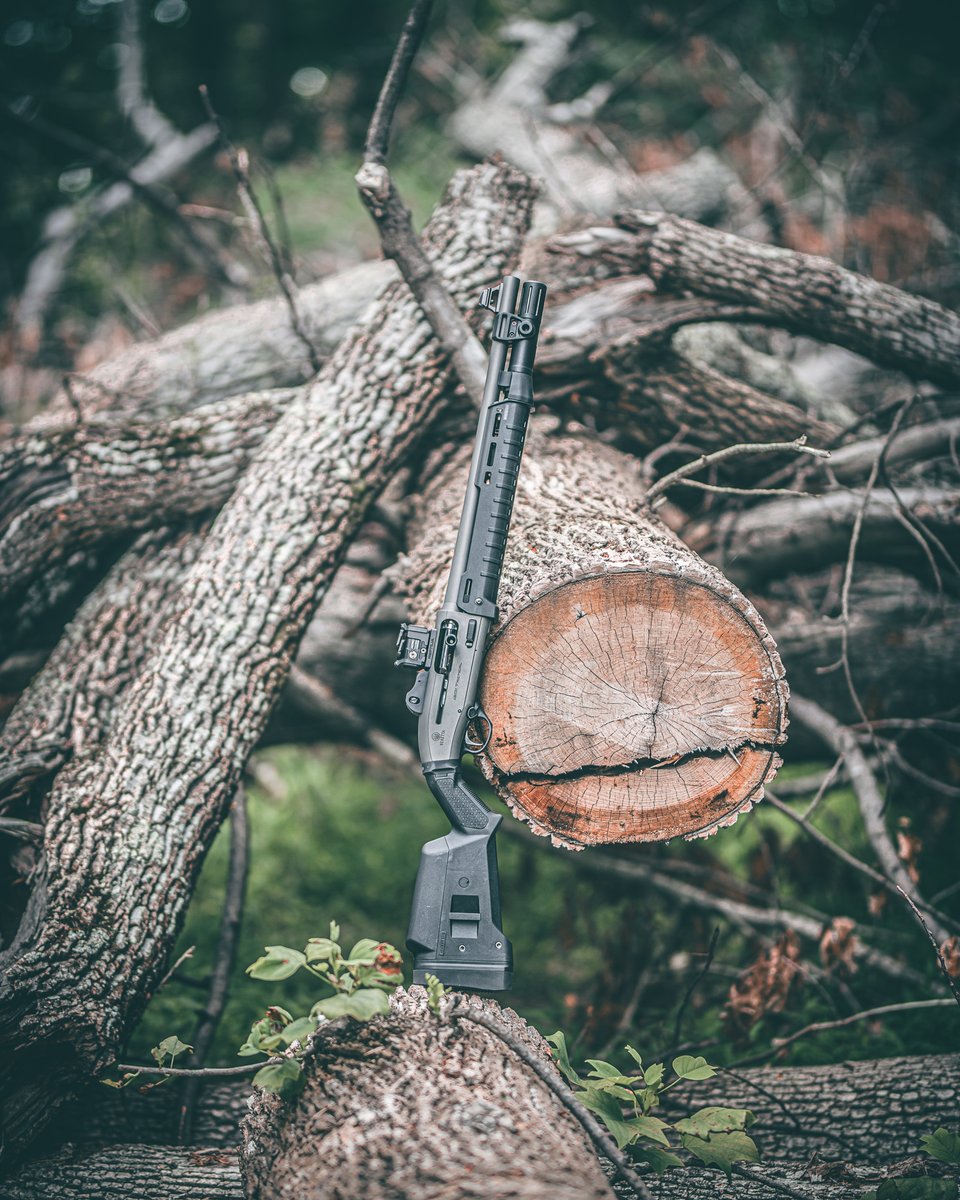 AimpointUSA's tweet photo. Tactical 12 Gauge.

Featured optic, Acro P-2™
https://t.co/BTSDNorOnJ

📷: Holtworks

NOT A FIREARMS SALE⁠

#aimpoint #acrop2 #alwaysready #alwayson #reddotsight #reddot #reddotoptic #compactsight https://t.co/gZn7RAHqZ2