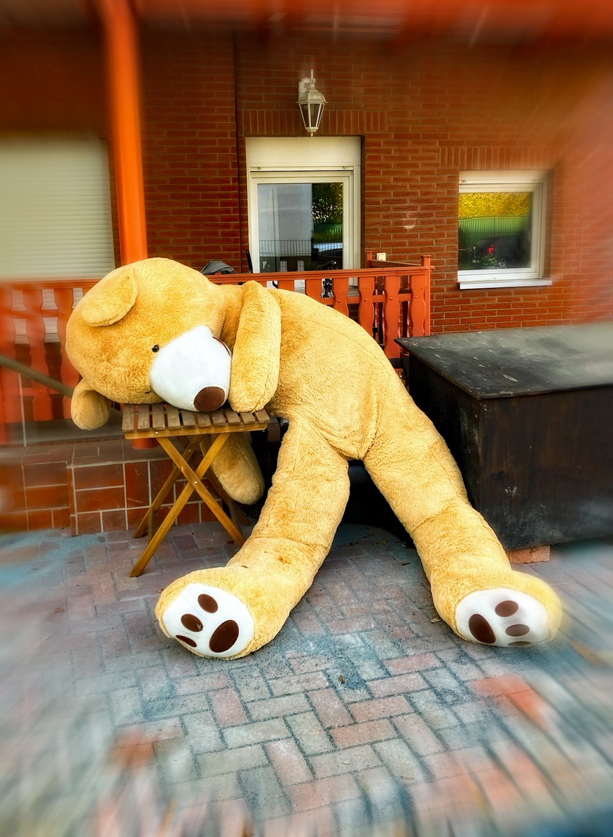 Luederwaldt's tweet image. spotted this guy in the neighborhood 😆
#sleepmode #ひるね
song.link/de/i/1094497245