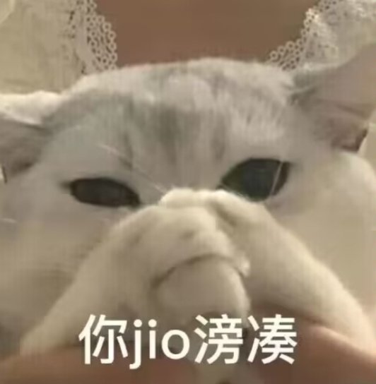 佩克·伯恩 （船长） tweet media