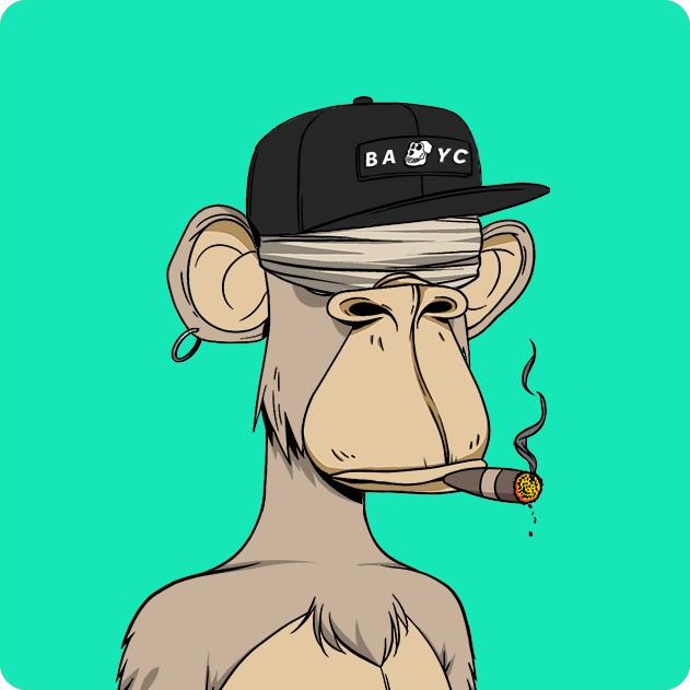 Crypτo Ape tweet media