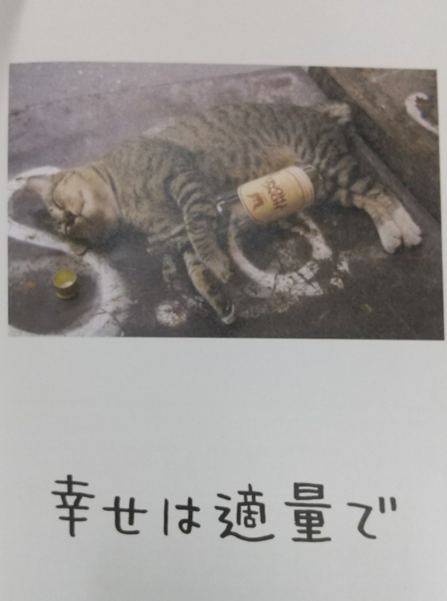 charisma3d's tweet photo. 本を読みたい
図書館へ行ってみる
猫の本
…ではなく
哲学？
でも私は心理学が好き
人間関係は面倒臭い
猫になりたい
"幸せは適量で" https://t.co/g7kckL900i