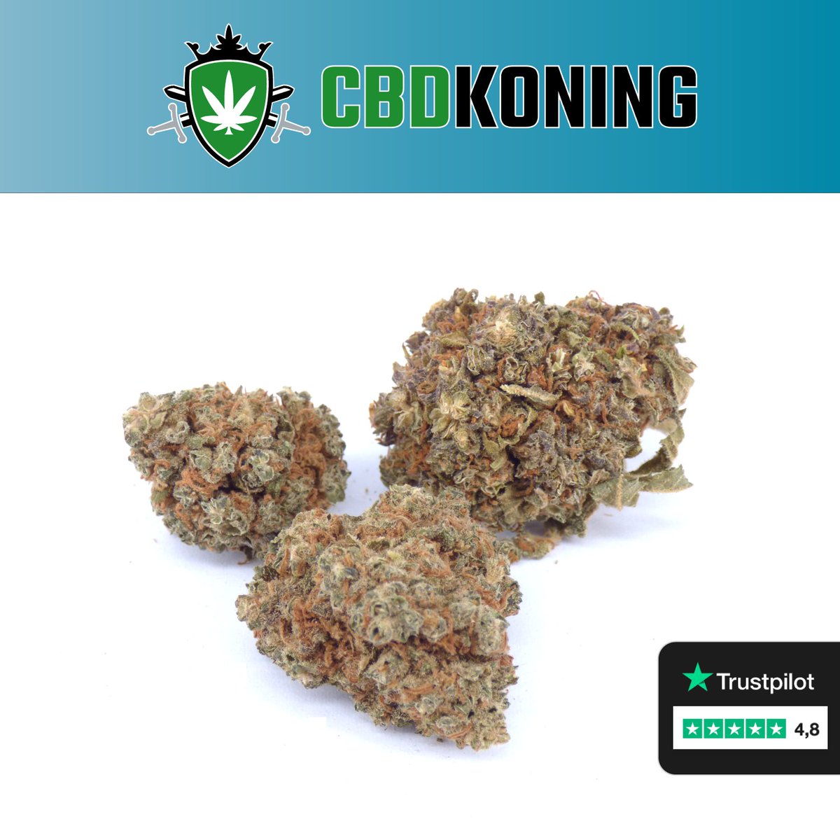 DeCBDkoning's tweet photo. Wist jij dat CBD-wiet en CBD-hasj legaal zijn in heel Europa?

Jazeker!

Ook in Nederland is deze canna soort volledig legaal en (online) te koop!

Waar je dit kunt kopen?

https://t.co/NxwN6JhVeA

#gaming #tcg #wiet #hasj #firstdates #langlevedeliefde #nieuws #realmadrid $bot https://t.co/FxtEIpI4pD