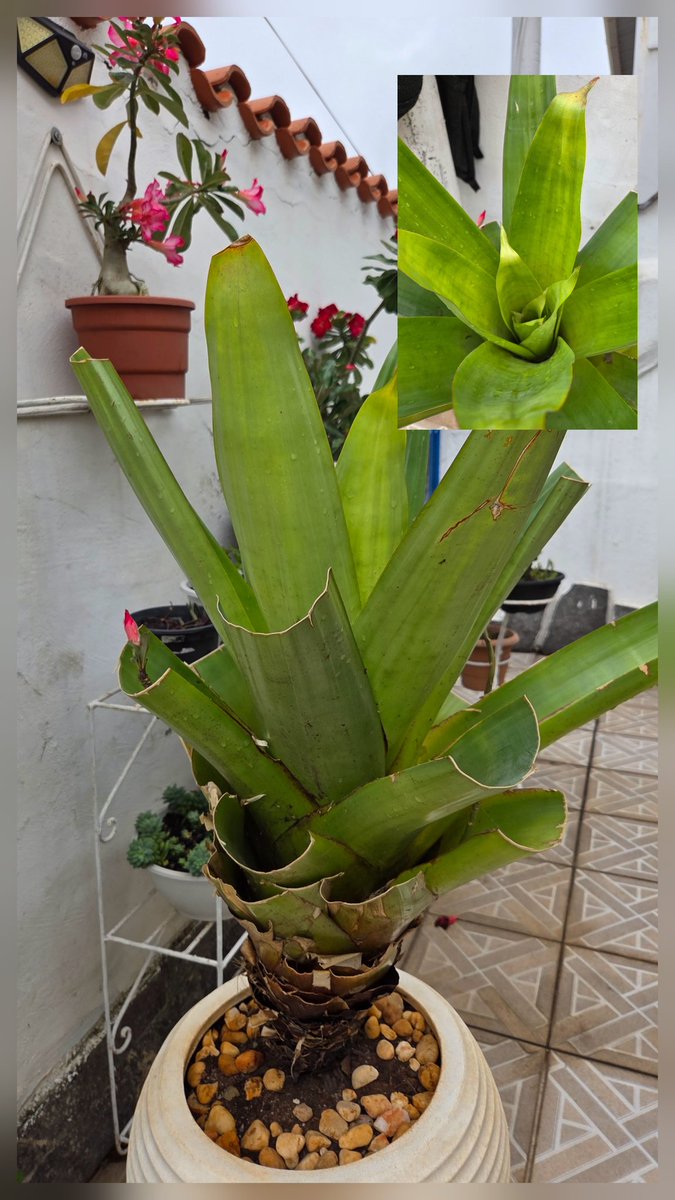 Cuidados produzem resultados!
🌷