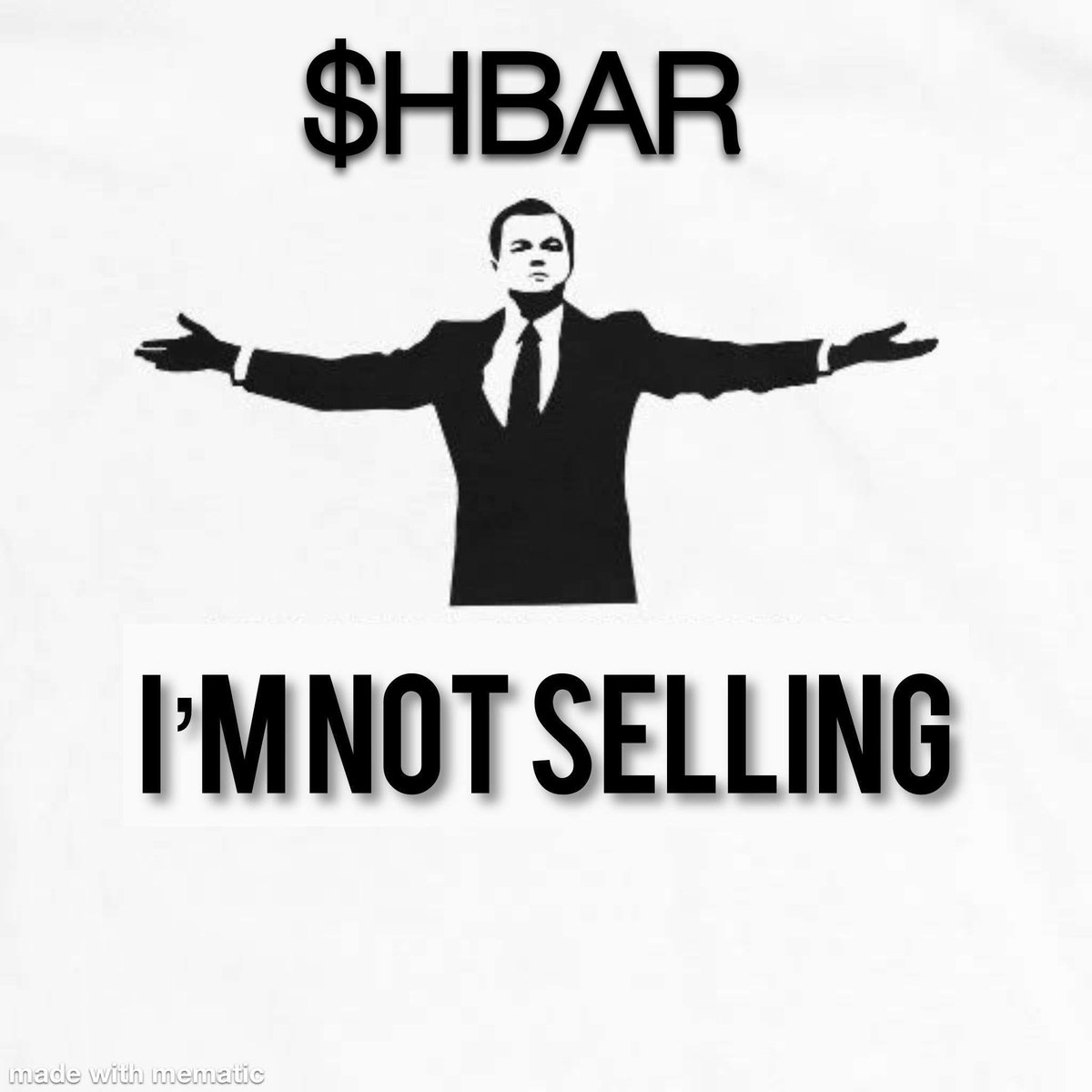 I’m not selling my $HBAR who’s with me ?