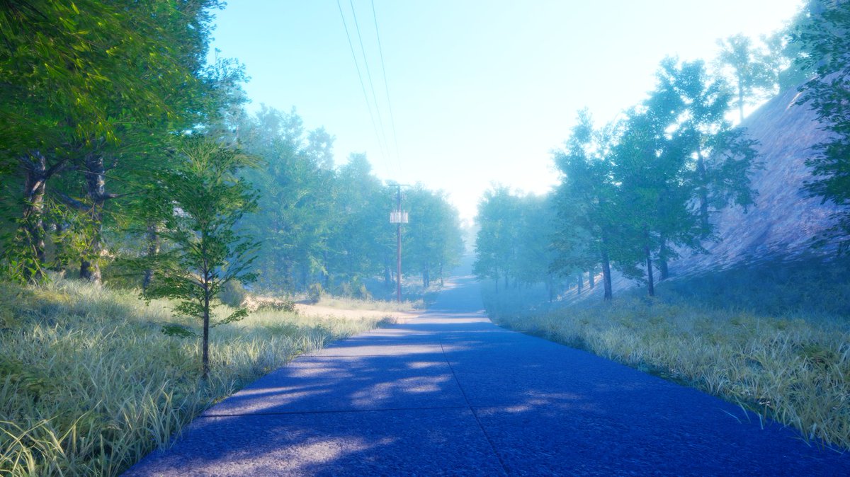 のどかな時無島のワンシーン。
学校、診療所へと向かう道です。