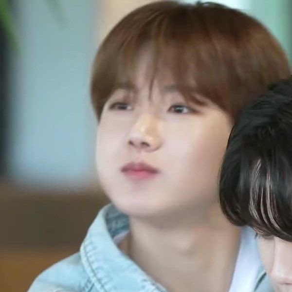 쭈쭈 tweet media