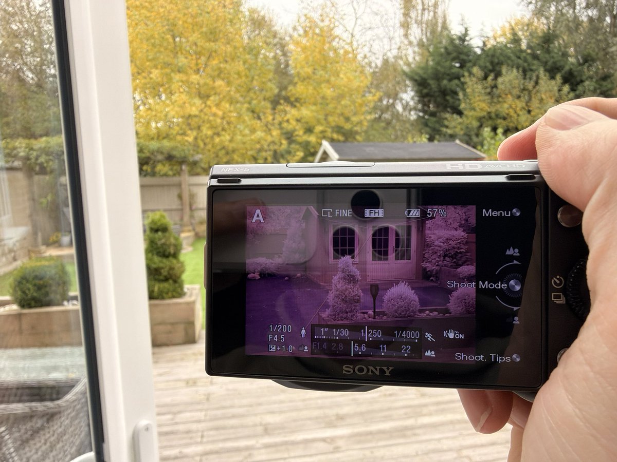 Some more photos incoming, but I’ve picked up a modified camera to shoot infrared photographs 🙃