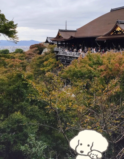 母と京都を楽しみました