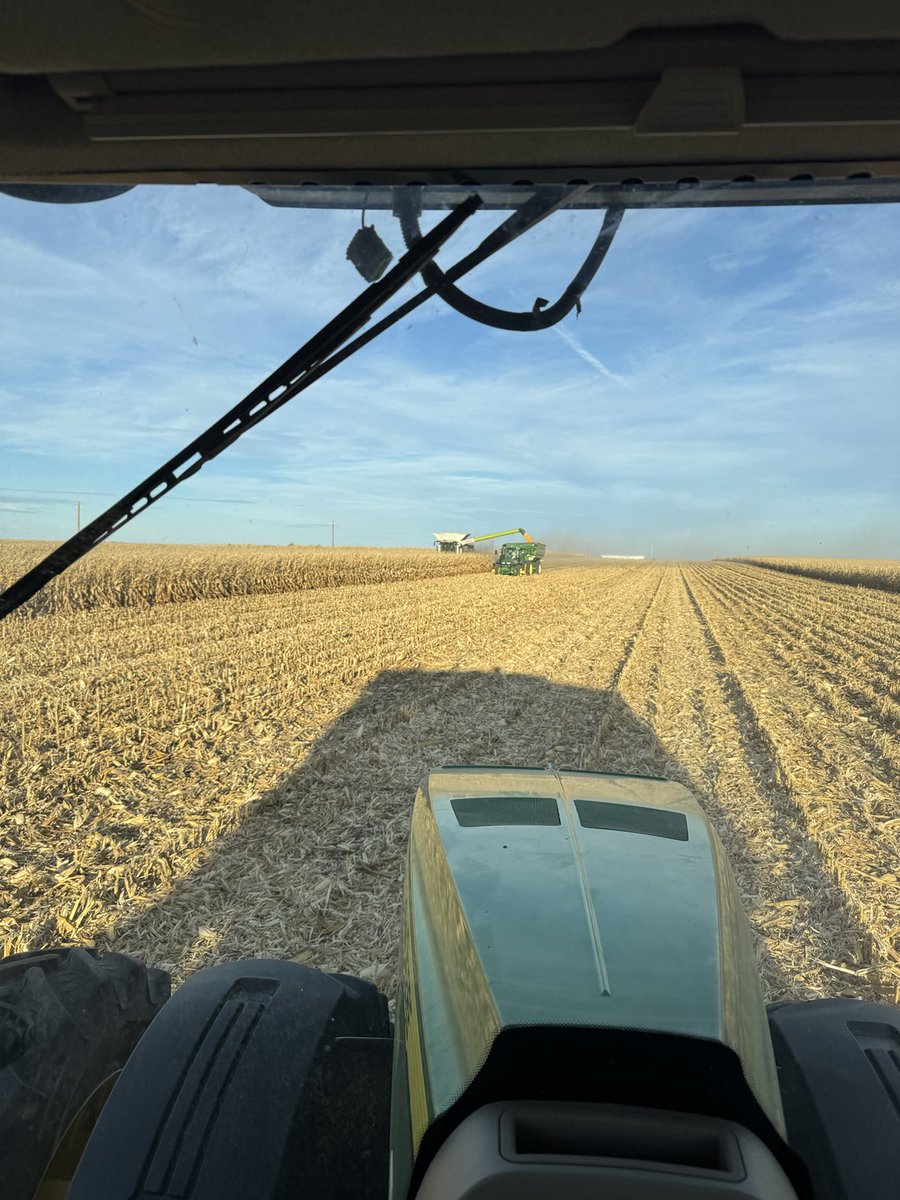 KumpfTim's tweet image. Corn harvest much more relaxing