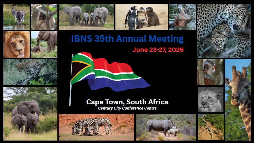 IBNS tweet media
