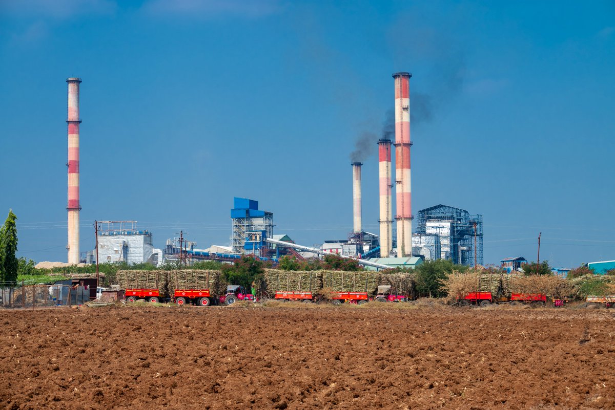 sugaronline's tweet image. #SUGAR NEWS #INDIA 🇮🇳: ISMA estimates 16% rise in 2025/26 sugar output: sugaronline.com/2025/11/04/ind…. Join us today to read the full story! #commoditiestrading #softcommodities #sugarindustry #sugarcane