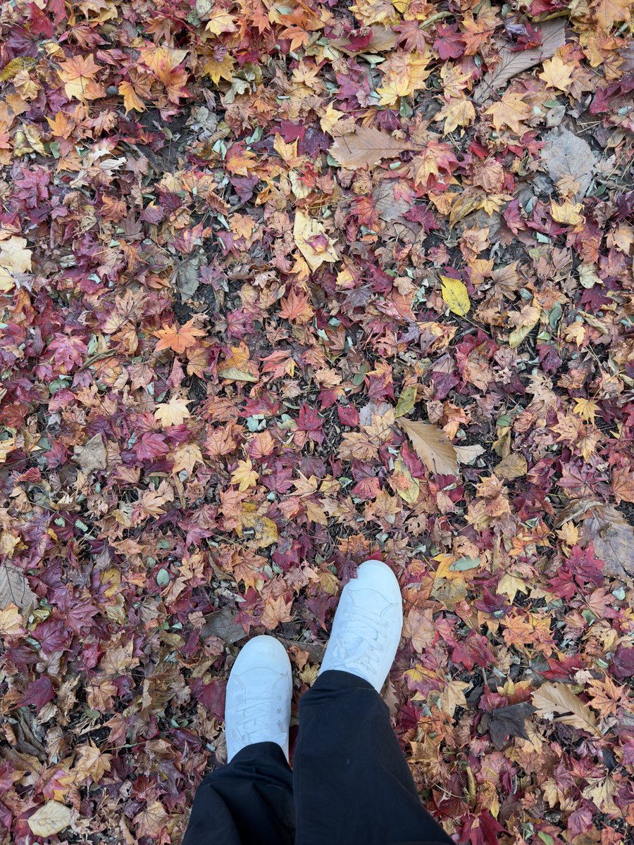 0xwzd's tweet image. Where to go?