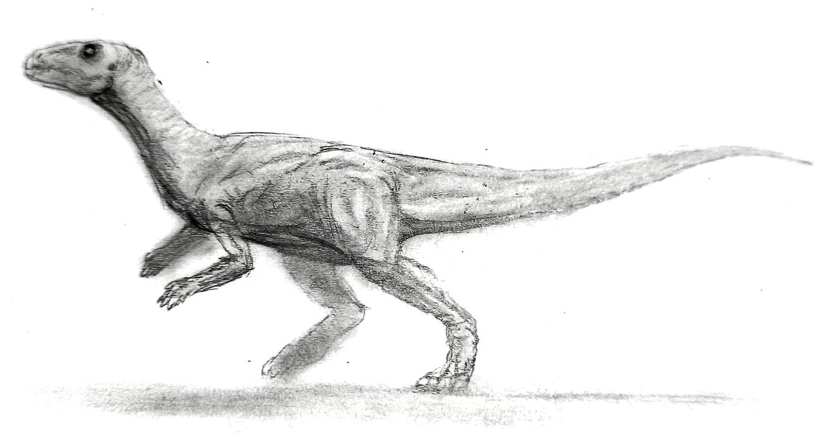 Reusing the methods from yesterday's sketch and her is falsusaurus.