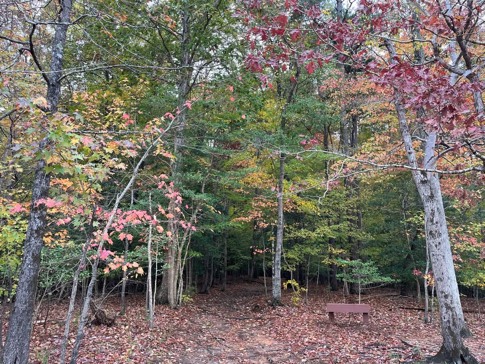 WakeGovParks's tweet photo. It's fall, y'all. It's perfect weather to come to #BlueJayPoint for an autumn hike. While some amenities and parking lots are closed due to construction, the trails are still open! Find tips for planning your hike at: https://t.co/kyeG1fd9oB https://t.co/XAprZcubN6