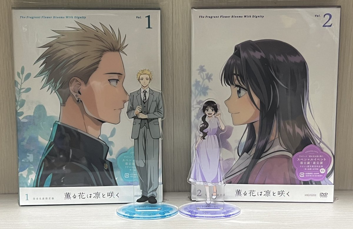 なつページ パフォーマンスステップキット KAWASAKI ZX-10R'16-20 | BabyFace