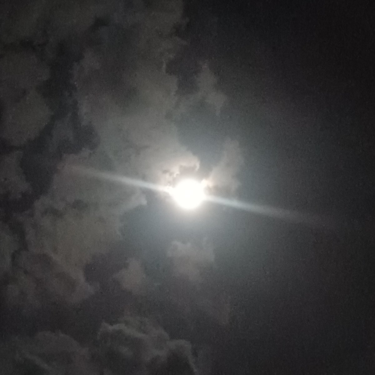 youtu.be/S3N59WDQEuQ?si…
オープンから4ヶ月。
ヨナキリウムのいま、です。
丁寧に取材していただきました。
ぜひご覧ください！
#スーパームーン
#昼間みてえだ