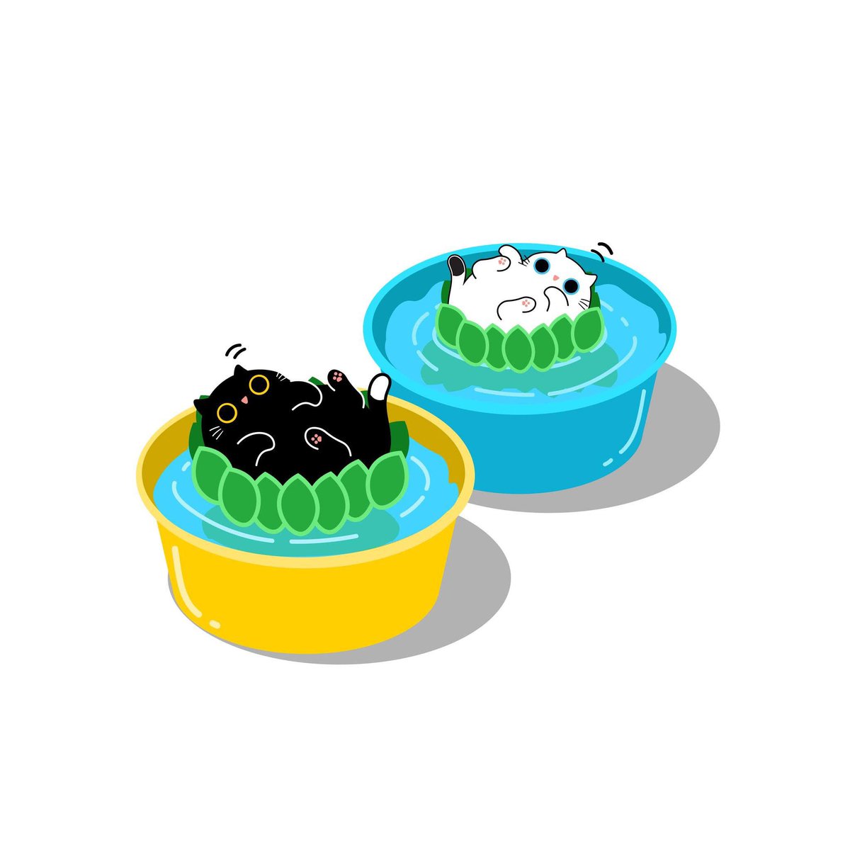 วันลอยกระแมว #loykrathong  #yinyangthecat #loykrathonfestival #cat