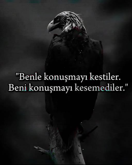 Uz C (@uzeyrc) on Twitter photo 