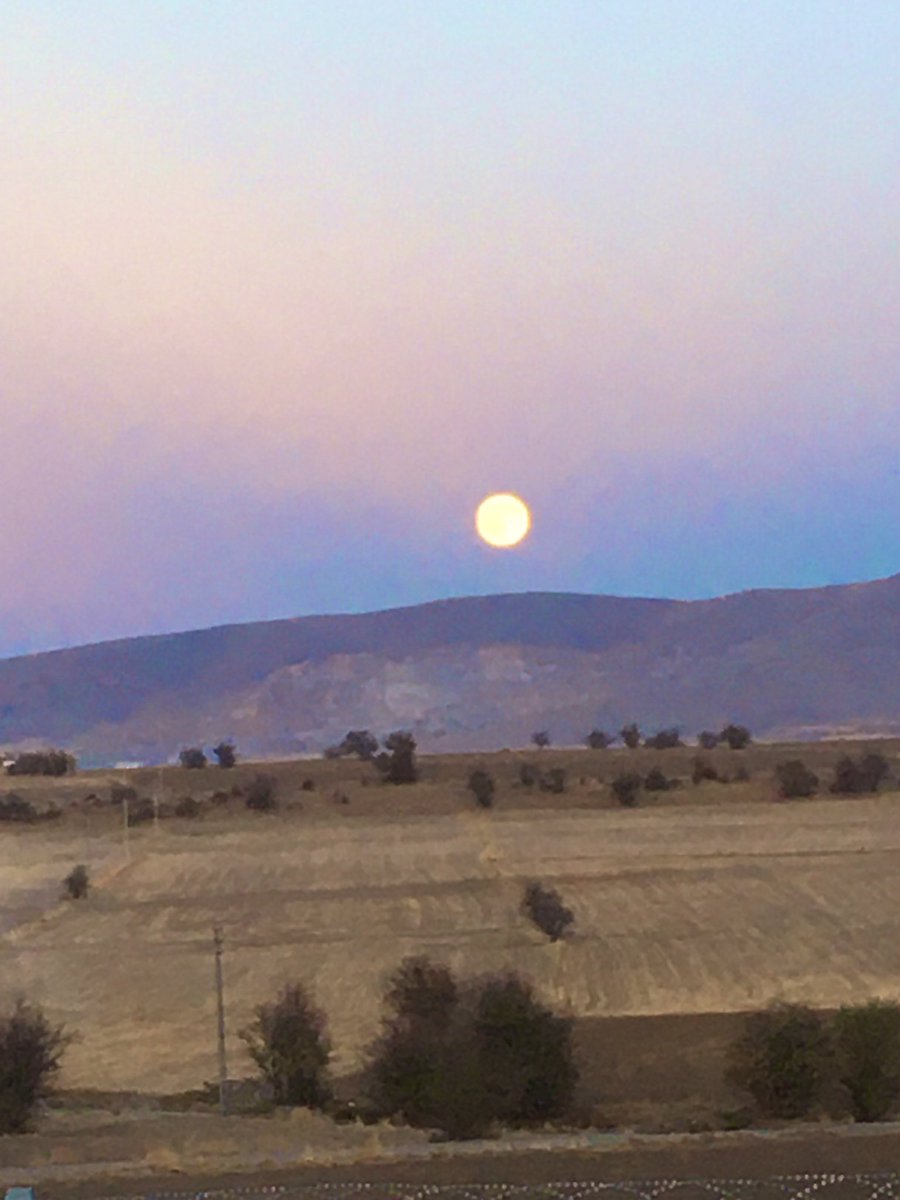 Bir ay doğar ilk akşamdan geceden 🎵🎶