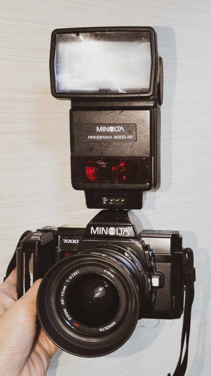 猫の☆復( ΦωΦ )活☆ (@nk_nk195749) / Posts / X