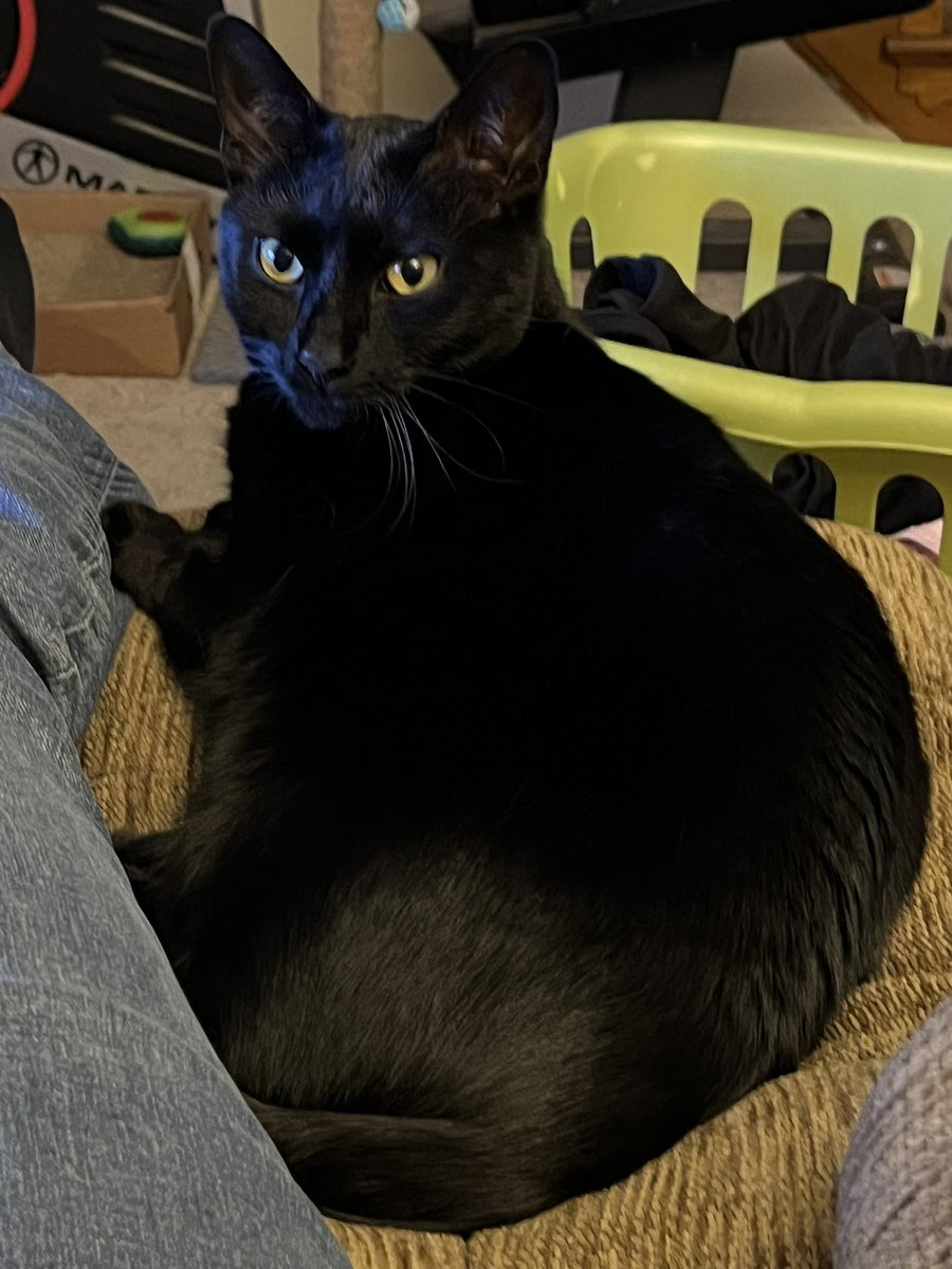 aaronposting's tweet image. Before and after hearing mom’s car pull up