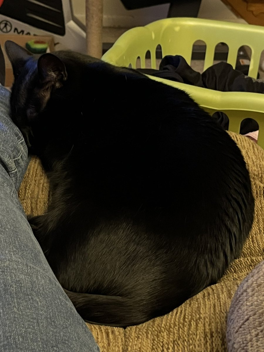 aaronposting's tweet image. Before and after hearing mom’s car pull up