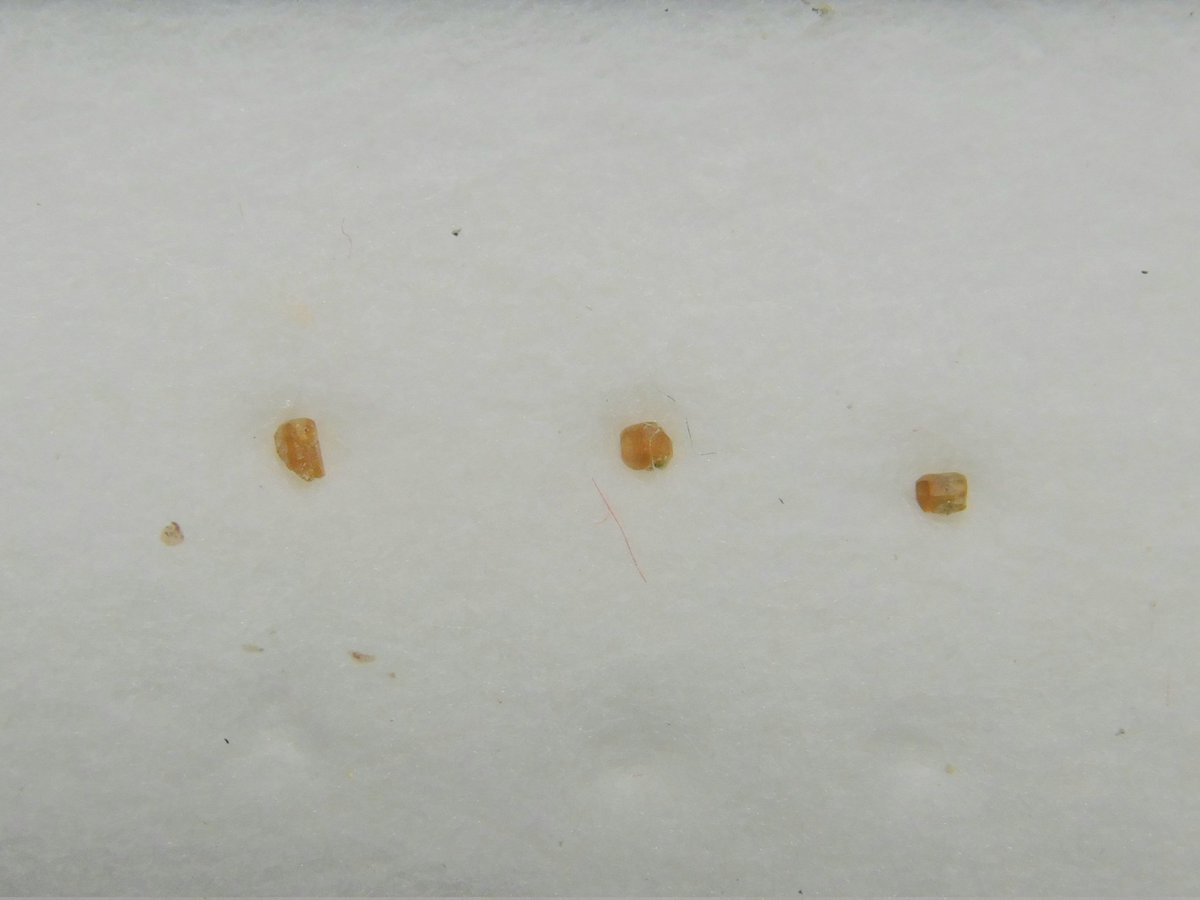 小さな金塊メダル 成分分析済 K Murakami on X