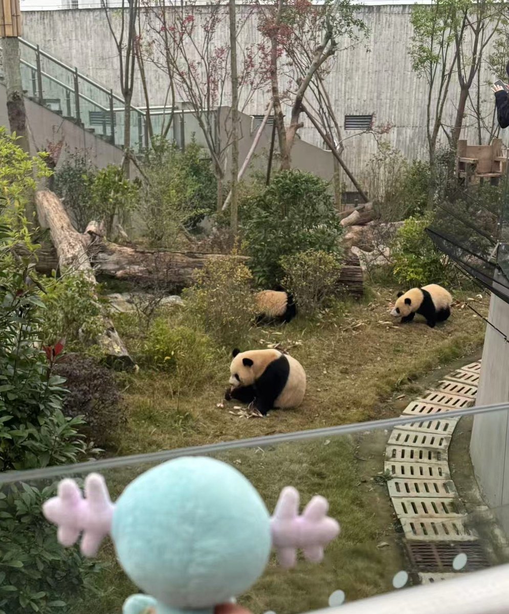 wooperinthewild's tweet photo. https://t.co/VOAKLaZynV